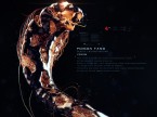 king-cobra_gold_03