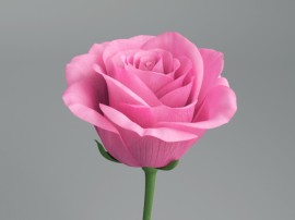 Image converted using ifftoany