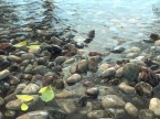 rocks_variation_shader_intersection_normal