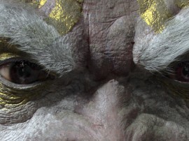 fixed_eyes