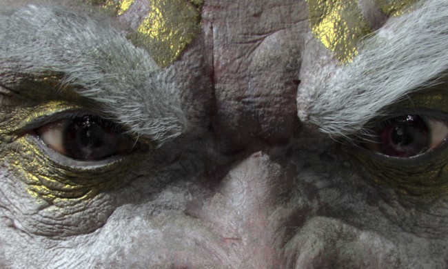 fixed_eyes