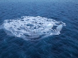 whale_00163a