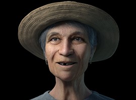fengmian