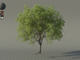 tree_g_2-redshift_rop1-0125